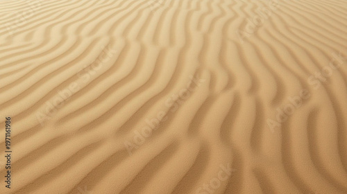 Fine Desert Sand Pattern Texture Background