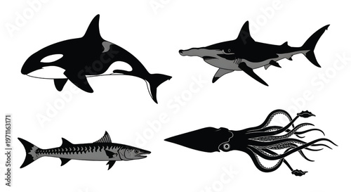 A black and white illustration of various ocean creatures
