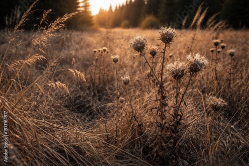 New green sprout growing through ash and burnt wood after forest fire, rebirth of nature after wildfire disaster, hope and ecology concept, small plant emerging from charcoal in burnt forest, environm