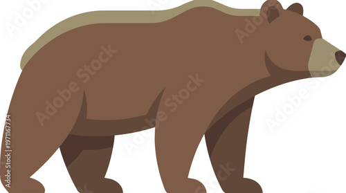 Brown Bear Walking Sideways Profile.