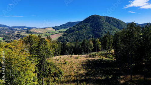 Drone view autumn view coniferous forest hills mountains USA.