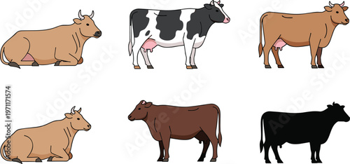Cow livestock vector collection set with different breeds poses standing and lying farm animal illustration isolated on white background