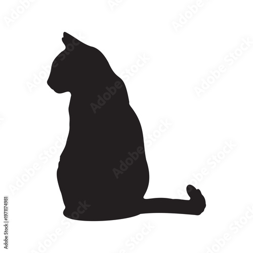 Cat silhouette sitting alone black