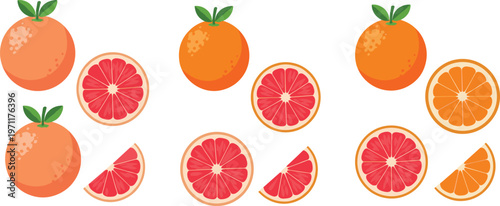 Orange and grapefruit vector set with whole sliced and segments citrus fruits collection for fresh food design healthy eating illustration isolated on white