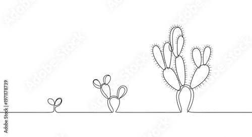 Three cacti plants are growing on a flat land