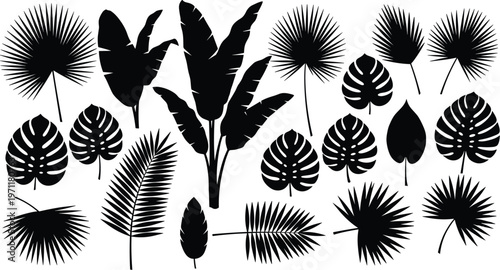 Comprehensive collection featuring elevator access, restroom symbols, Wi-Fi connectivity, and transit icons for professional architectural signage.