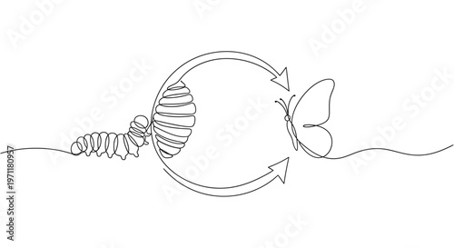 A caterpillar transforms into a beautiful butterfly in a natural metamorphosis process.