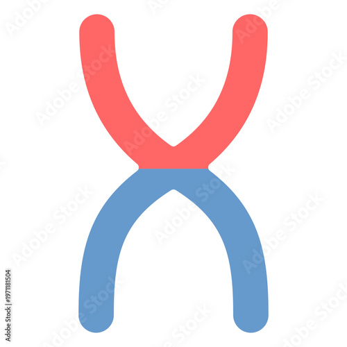 Chromosome Vector Icon