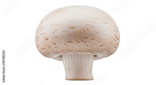 Fresh White Button Mushroom Isolated on White Background