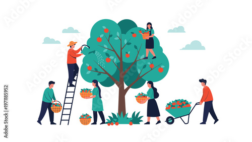 Team of farm workers harvesting ripe red apples from a large green tree in an orchard on a clear sunny day.