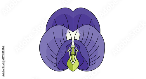 Stylized Purple Butterfly Pea Flower Illustration