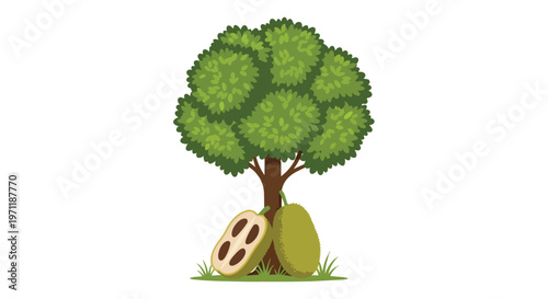 Illustration of a Jackfruit Tree with Whole and Sliced Tropical Fruit