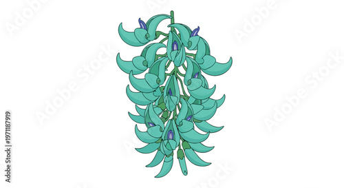 Jade Vine Flower Illustration Isolated on White Background