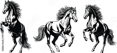 Three black white running horses vector illustration wild stallions galloping dynamic motion equine artwork isolated on white background power energy