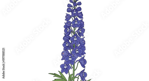 Beautiful Purple Delphinium Flower Illustration Isolated on White Background
