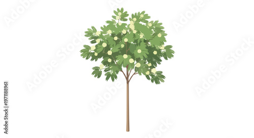 Stylized Vector Illustration of a Fruit Tree with Green Leaves and Yellow Fruit