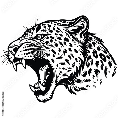 vector illustration of a leopard