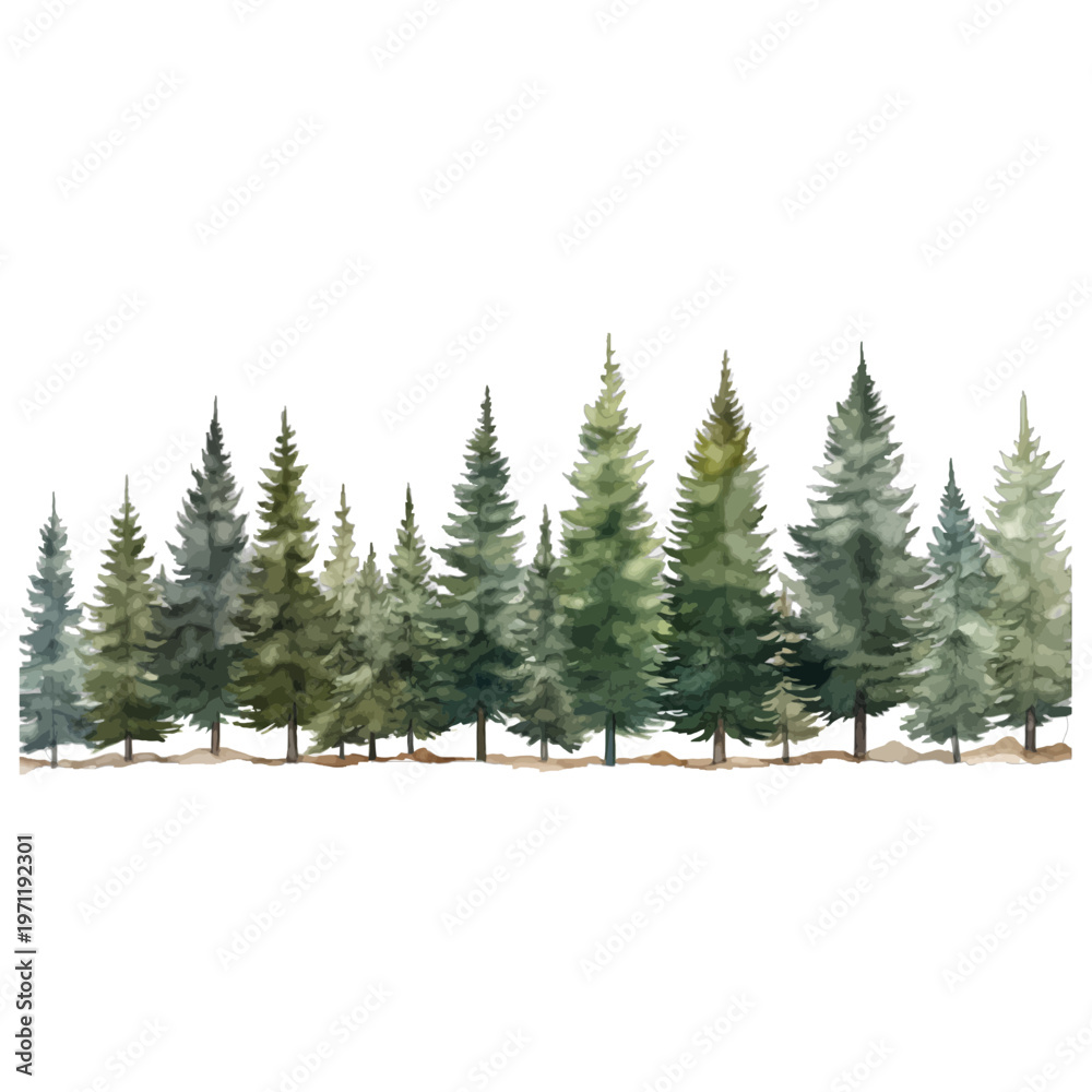Obraz premium Watercolor illustration of a lush coniferous forest tree line with evergreen pine, fir, and spruce trees