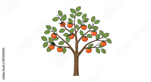 Illustration of a Persimmon Tree with Ripe Orange Fruits