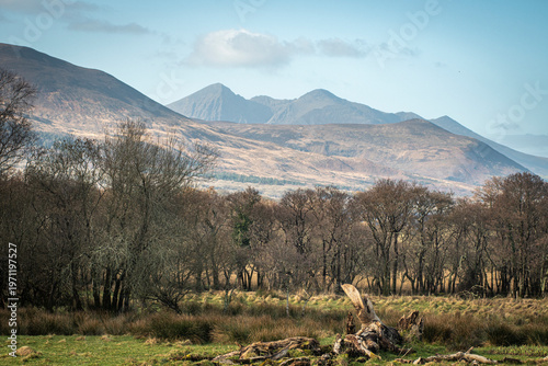 view of park, forest, mountains and clouds