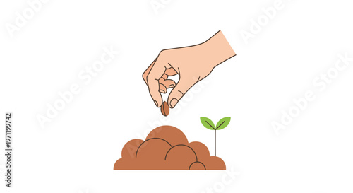 Hand Planting Seedling into Soil.