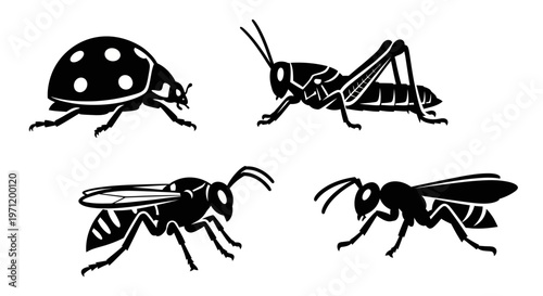Insect Silhouettes Collection: Ladybug, Grasshopper, and Wasp-like Creatures