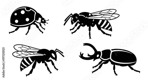 Insect silhouettes collection: ladybug, wasps, and stag beetle on white background