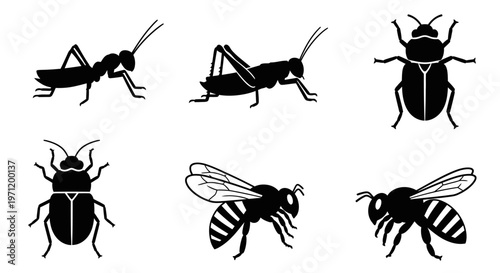 Insect Silhouettes Set: Ant, Grasshopper, Beetle, and Bee Icons