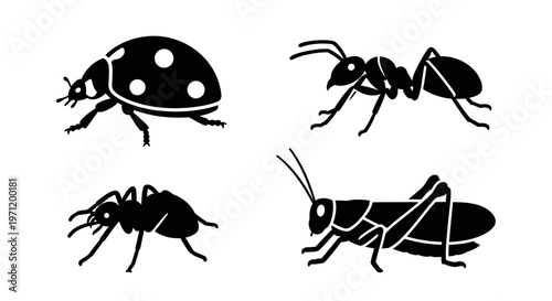 Insect Silhouettes Vector Set: Ladybug, Ants, and Grasshopper Icons