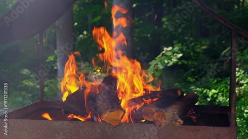 Red and orange fire burns on firewood logs in metal brazier at picnic slow motion. Hot flame to make charcoal for food cooking in park