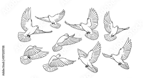 Hand drawn doves vector sketch illustration set with flying and perched birds in elegant line art style