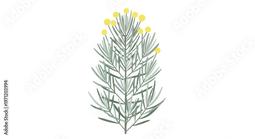 Minimalist Watercolor Illustration of a Green Sprig with Yellow Flowers