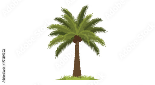 Vector Illustration of a Single Tropical Palm Tree on White Background