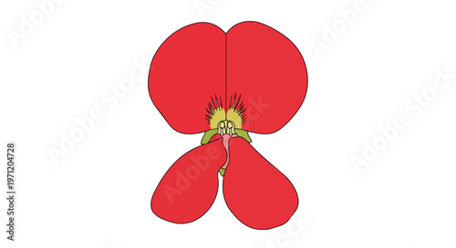 Illustration of a Red Pea Flower Blossom