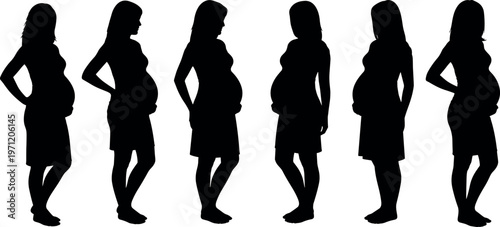 Evolution of pregnancy silhouette showing six stages of fetal growth and maternity progress for medical health and prenatal care concept.