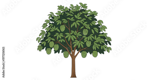 Illustration of a Mango Tree with Ripe Fruit