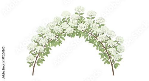 Arch of White Hydrangea Flowers Floral Decoration