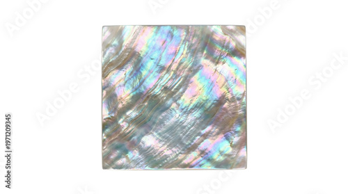 Slika na platnu Iridescent mother of pearl shell square tile