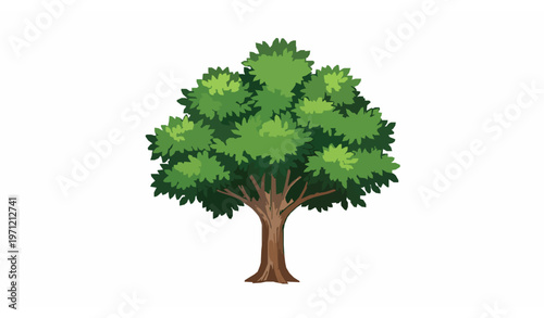 Lush green tree vector illustration with detailed canopy and brown trunk isolated on white background