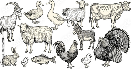 Extensive set featuring international currency transactions, secure credit card processing, and mobile wallet symbols.