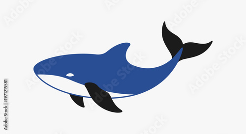 Illustration of a stylized killer whale with vibrant colors against a plain backdrop