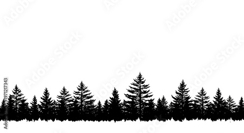 Black Silhouette Forest Horizon - Evergreen Trees Landscape Border