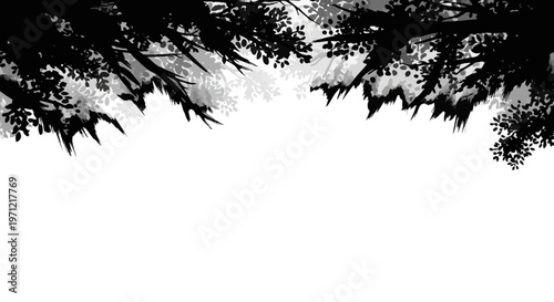 Dark Forest Canopy Silhouette Against Bright Sky, Black Tree Branches and Leaves