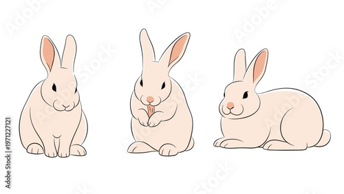Three realistic sketches of white rabbits in different natural poses like sitting and cleaning their paws on white background.