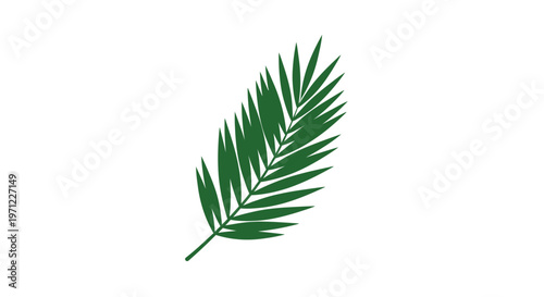 A solitary vibrant green palm frond illustration isolated on a stark white background
