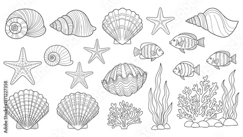 Detailed set of various black and white line art illustrations depicting seashells, starfish, fish, and coral reefs.