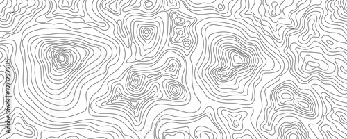 Topographic line contour map background. Geographic grid map. Abstract background with thin black topographic lines. Minimalist map design. Vector illustration