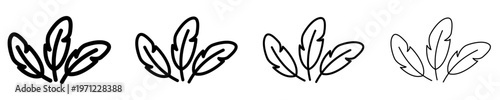 Set of four minimalist contour icons of a group of three feathers with different line thicknesses, symbolizing exceptional softness, lightness and cleanliness. Vector illustration.