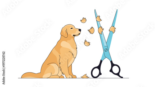 Golden retriever sitting calmly while being groomed with large scissors and tufts of fur flying in the air on white background.