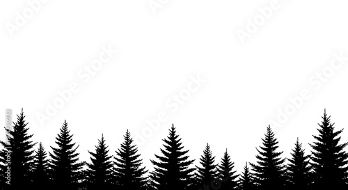 Black Silhouette Evergreen Forest Against White Background